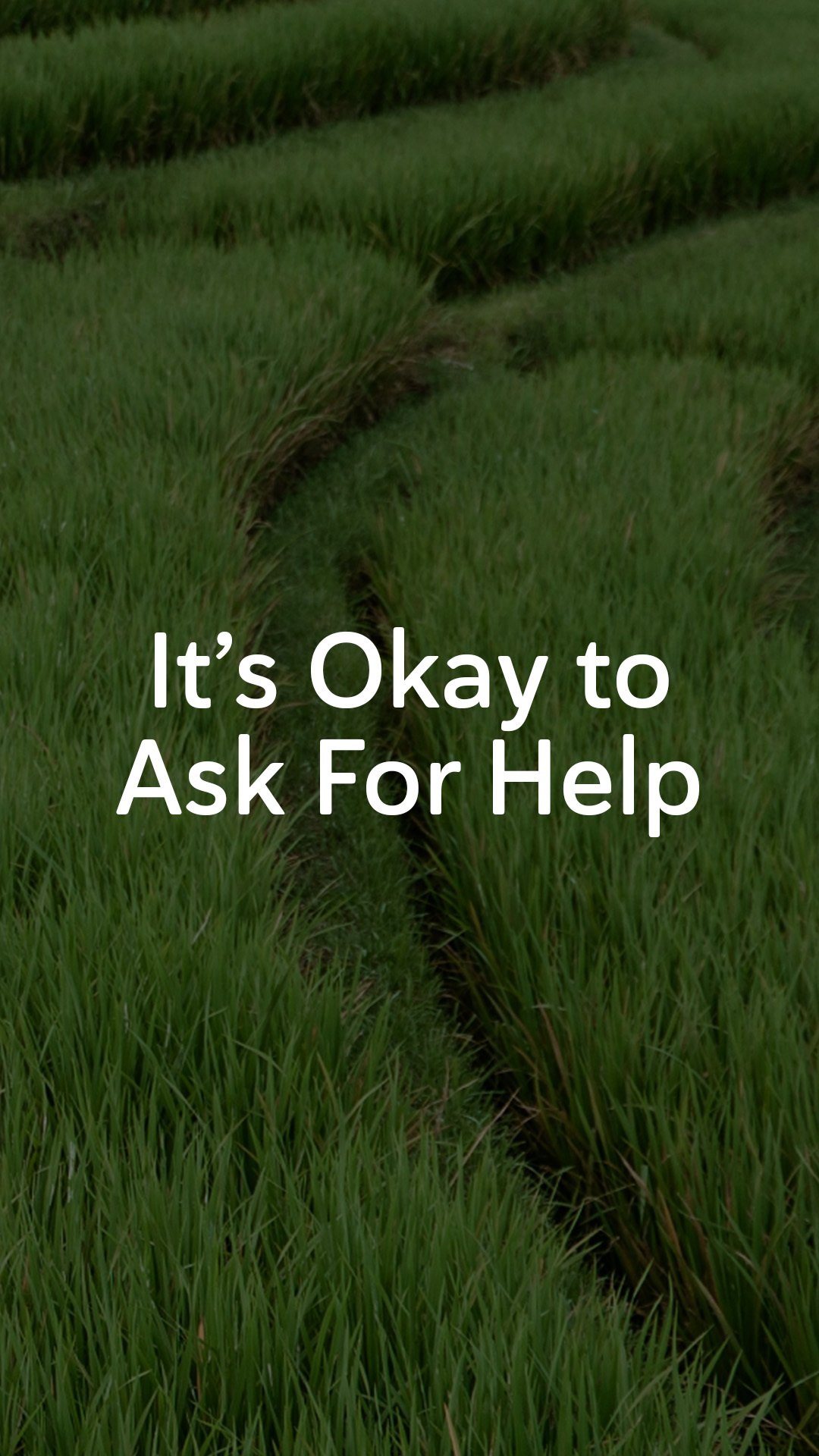 It's Okay to Ask For Help